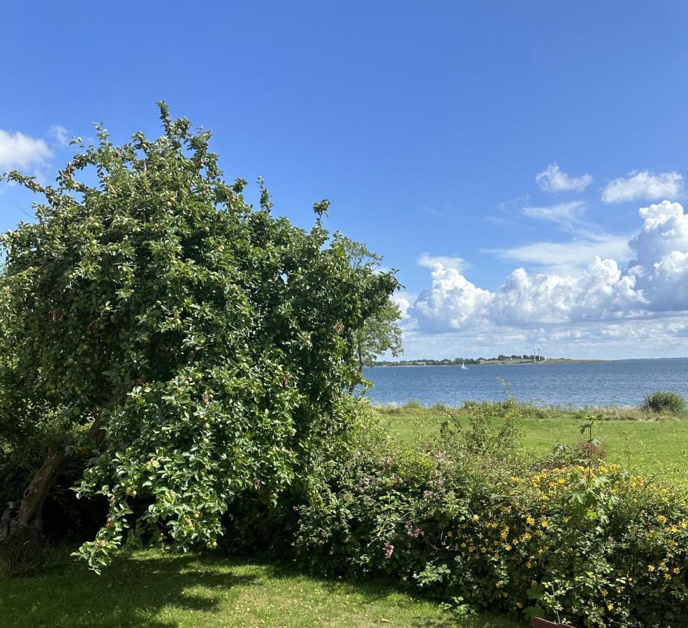 Strandhuset Vollerup المظهر الخارجي الصورة